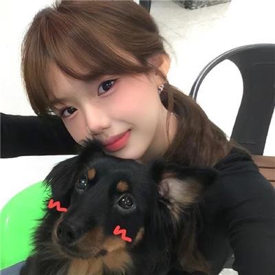 不好皇上又被我剧透了